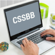 CSSBB-training